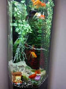 Aquarium rentals